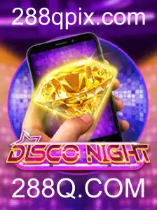 Descubra o Mundo Fascinante de DiscoNightM